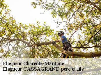 Elagueur 17 Charente-Maritime  Elagueur CASSAGRAND père et fils