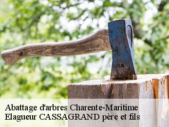 Abattage d'arbres 17 Charente-Maritime  Elagueur CASSAGRAND père et fils