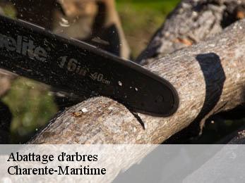 Abattage d'arbres Charente-Maritime 