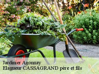 Jardinier  agonnay-17350 Elagueur CASSAGRAND père et fils