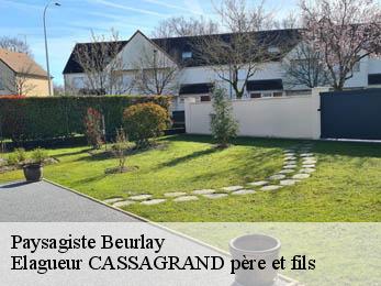 Paysagiste  beurlay-17250 Elagueur CASSAGRAND père et fils