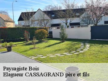 Paysagiste  bois-17240 Elagueur CASSAGRAND père et fils