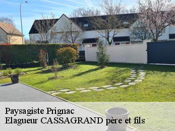 Paysagiste  prignac-17160 Elagueur CASSAGRAND père et fils