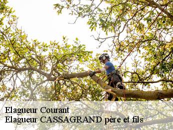 Elagueur  courant-17330 Elagueur CASSAGRAND père et fils