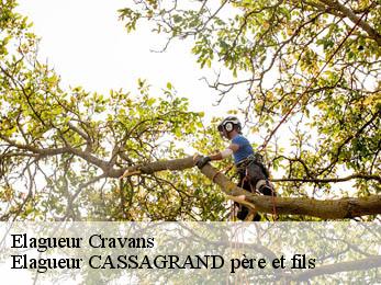 Elagueur  cravans-17260 Elagueur CASSAGRAND père et fils