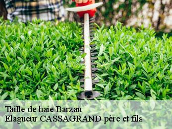 Taille de haie  barzan-17120 Elagueur CASSAGRAND père et fils