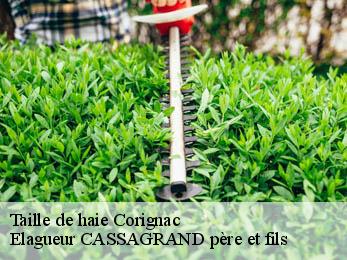 Taille de haie  corignac-17130 Elagueur CASSAGRAND père et fils