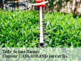 Taille de haie  haimps-17160 Elagueur CASSAGRAND père et fils