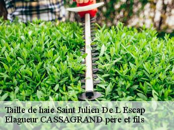 Taille de haie  saint-julien-de-l-escap-17400 Elagueur CASSAGRAND père et fils