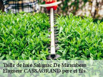 Taille de haie  salignac-de-mirambeau-17130 Elagueur CASSAGRAND père et fils