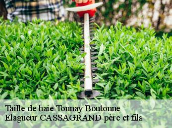 Taille de haie  tonnay-boutonne-17380 Elagueur CASSAGRAND père et fils