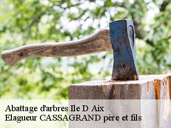 Abattage d'arbres  ile-d-aix-17123 Elagueur CASSAGRAND père et fils