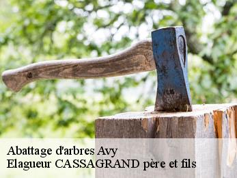 Abattage d'arbres  avy-17800 Elagueur CASSAGRAND père et fils