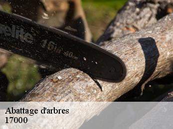 Abattage d'arbres  17000