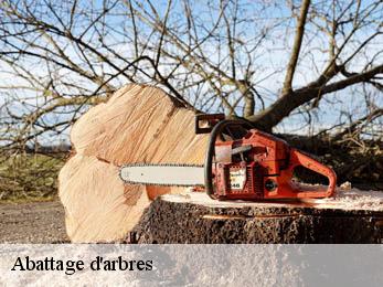 Abattage d'arbres