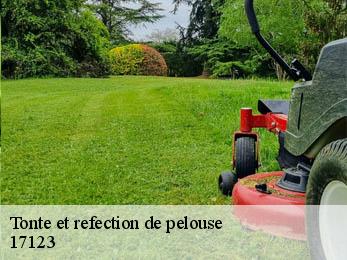 Tonte et refection de pelouse  17123