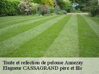 Tonte et refection de pelouse  annezay-17380 Elagueur CASSAGRAND père et fils