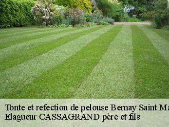 Tonte et refection de pelouse  bernay-saint-martin-17330 Elagueur CASSAGRAND père et fils