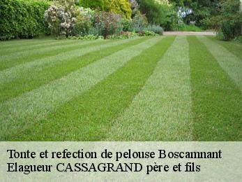 Tonte et refection de pelouse  boscamnant-17360 Elagueur CASSAGRAND père et fils