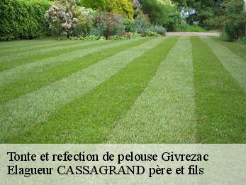 Tonte et refection de pelouse  givrezac-17260 Elagueur CASSAGRAND père et fils