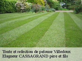 Tonte et refection de pelouse  villedoux-17230 Elagueur CASSAGRAND père et fils