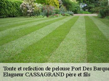 Tonte et refection de pelouse  port-des-barques-17730 Elagueur CASSAGRAND père et fils