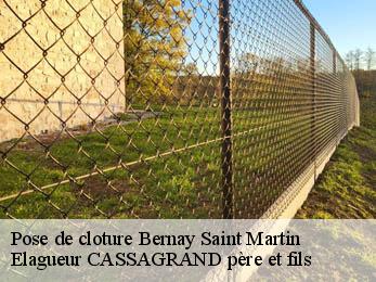 Pose de cloture  bernay-saint-martin-17330 Elagueur CASSAGRAND père et fils