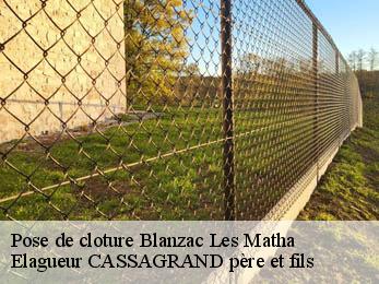 Pose de cloture  blanzac-les-matha-17160 Elagueur CASSAGRAND père et fils