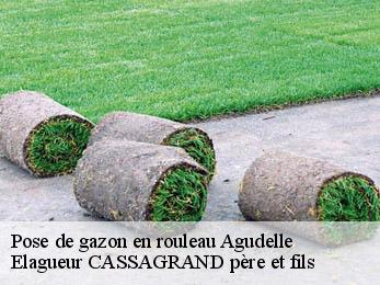 Pose de gazon en rouleau  agudelle-17500 Elagueur CASSAGRAND père et fils