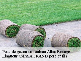 Pose de gazon en rouleau  allas-bocage-17150 Elagueur CASSAGRAND père et fils