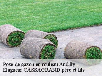 Pose de gazon en rouleau  andilly-17230 Elagueur CASSAGRAND père et fils