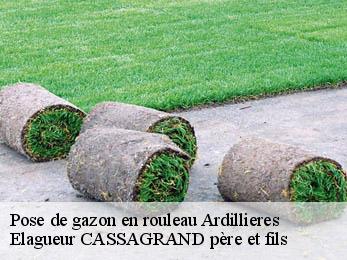 Pose de gazon en rouleau  ardillieres-17290 Elagueur CASSAGRAND père et fils