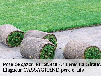 Pose de gazon en rouleau  asnieres-la-giraud-17400 Elagueur CASSAGRAND père et fils