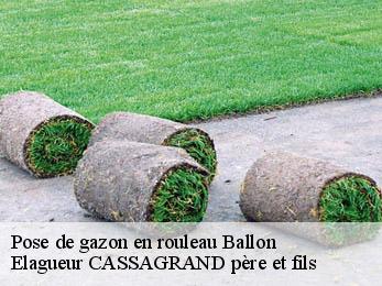 Pose de gazon en rouleau  ballon-17290 Elagueur CASSAGRAND père et fils