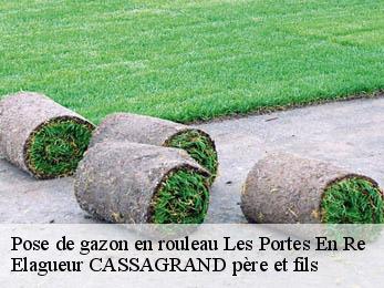 Pose de gazon en rouleau  les-portes-en-re-17880 Elagueur CASSAGRAND père et fils