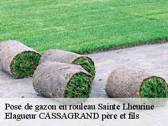 Pose de gazon en rouleau  sainte-lheurine-17520 Elagueur CASSAGRAND père et fils