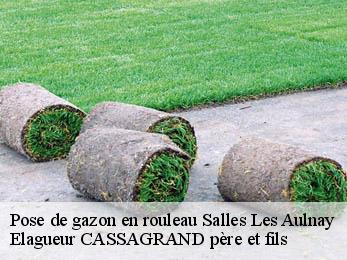 Pose de gazon en rouleau  salles-les-aulnay-17470 Elagueur CASSAGRAND père et fils