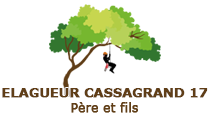 elagage-17-elagueur-cassagrand-pere-et-fils